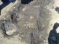2. Также поливаем. 2. Также поливаем.